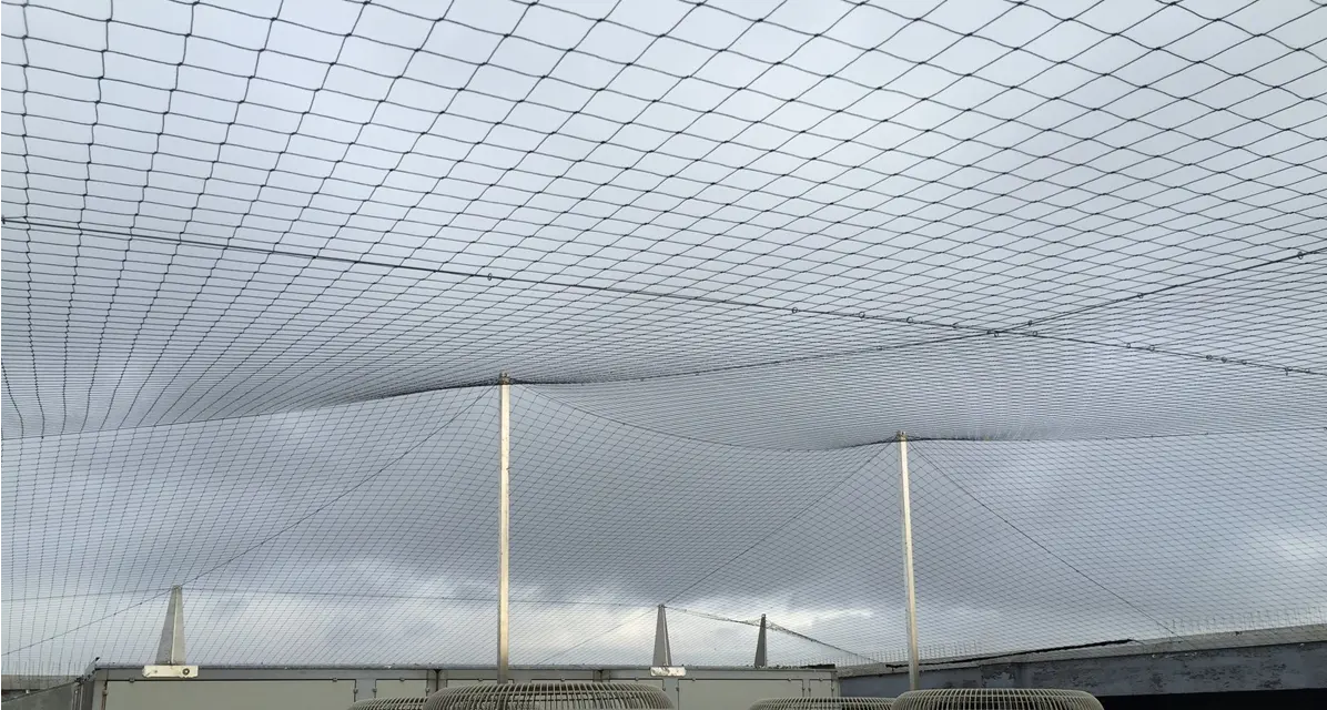 Anti Seagull Nets