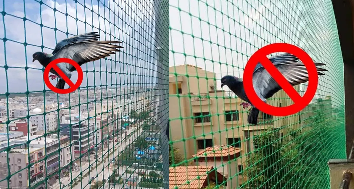 Pigeon Nets Installation