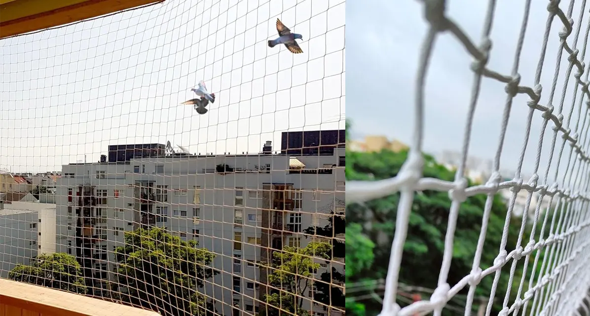 Pigeon Nets Installation