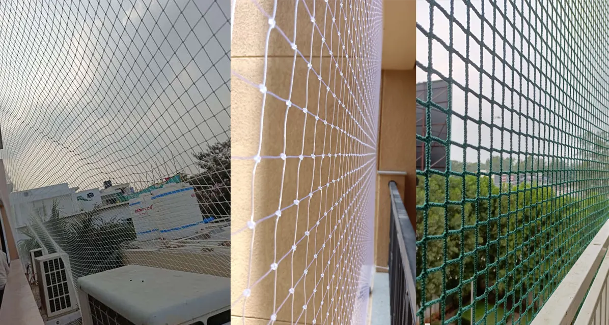 Sparrow Protection Nets